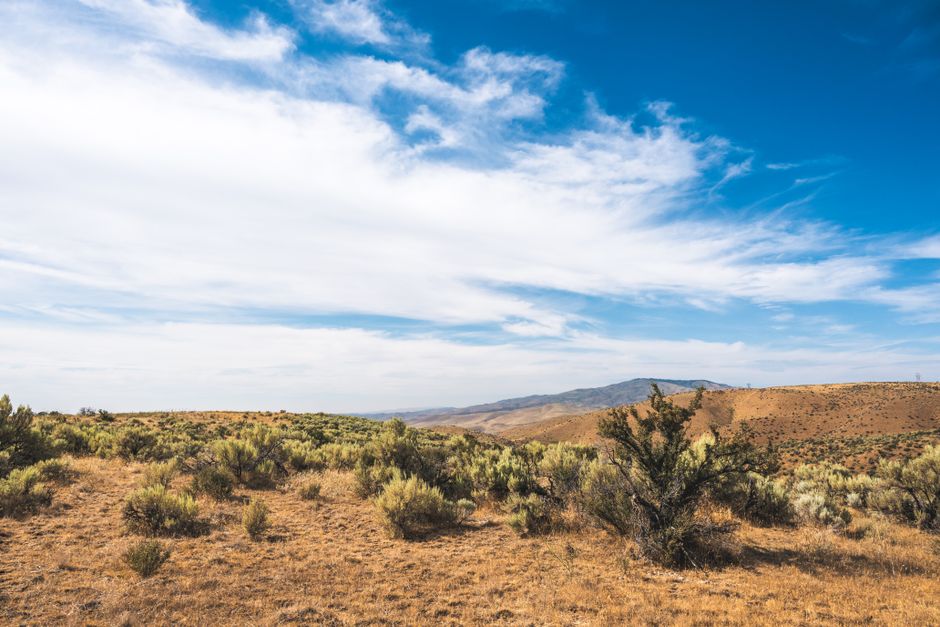 Morning light over the Boise foothills with open sky and rolling hills